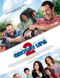 Grown Ups 2