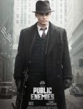 Public Enemies