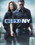 CSI: NY