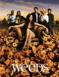 Weeds