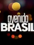 Avenida Brasil