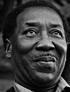 Muddy Waters