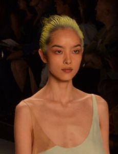Fei Fei Sun
