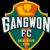 Gangwon FC players