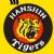 Hanshin Tigers players