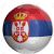 Serbian footballers