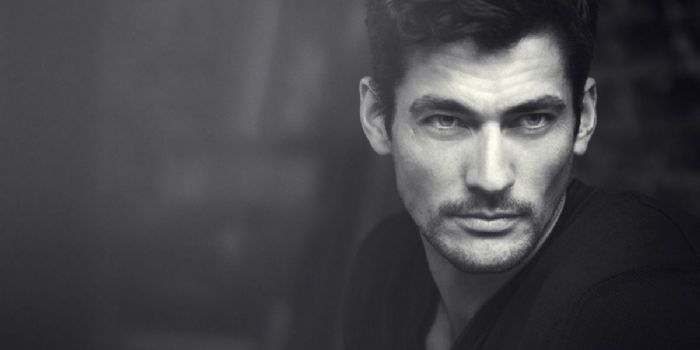 David Gandy