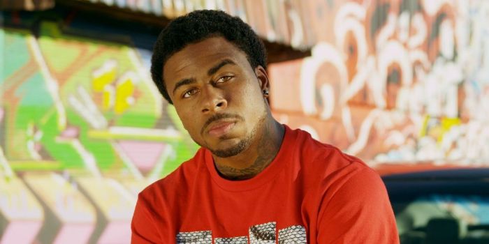 Sage the Gemini