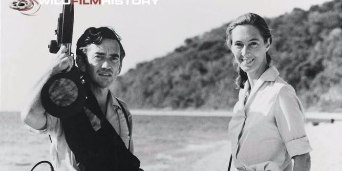 Hugo Van Lawick and Jane Goodall - Dating, Gossip, News, Photos