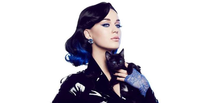 Whos dating katy perry 2014-in-Motueka