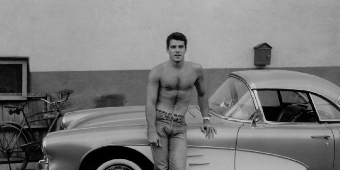 Van Williams