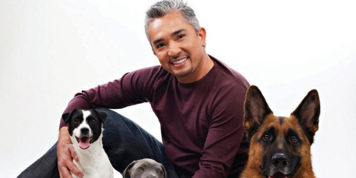 Cesar Millan