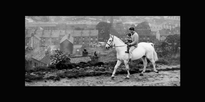 Harvey Smith (equestrian)