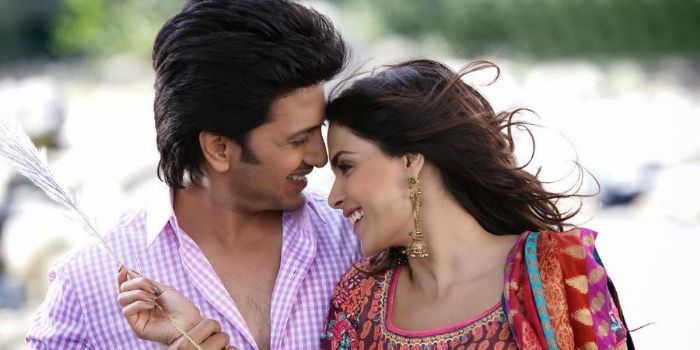 Genelia D'Souza and Ritesh Deshmukh