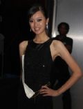 Mei Yanling