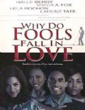 Why Do Fools Fall in Love