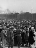 The Holocaust