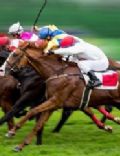Flat racing