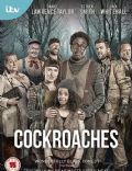 Cockroaches