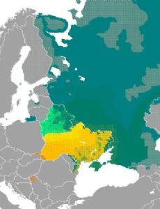East Slavic languages