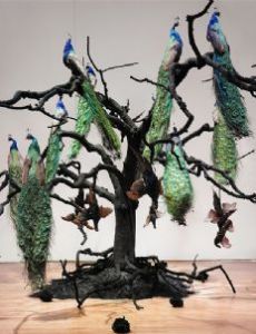Petah Coyne