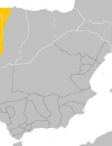 Galician-Portuguese