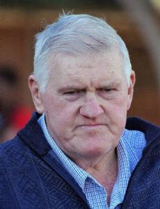 Bill Hamilton (rugby league)