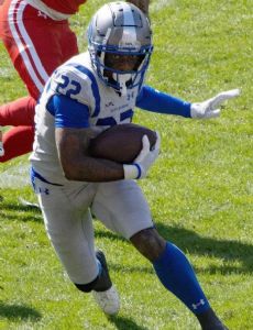 Steven Mitchell (American football)