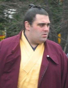 Ryūkō Gō
