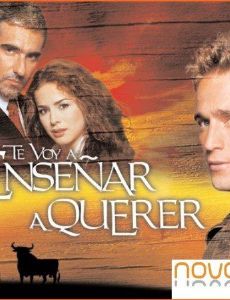 Te voy a enseñar a querer
