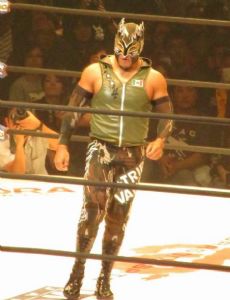 Flamita