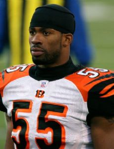 Marcus Wilkins