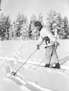 Timo Murama