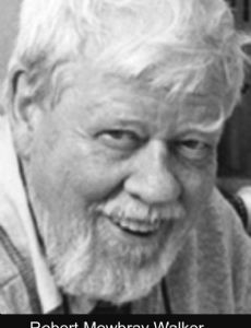 Robert M. Walker (physicist)