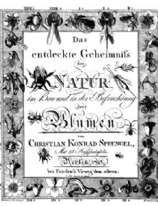 Christian Konrad Sprengel