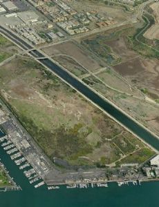 Ballona Wetlands