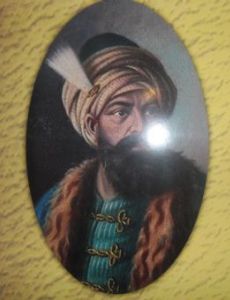 Kara Mahmud Bushati