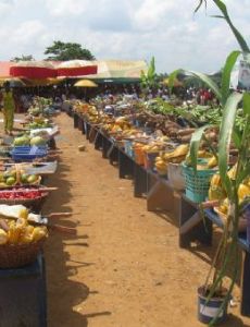 Farmers' Day