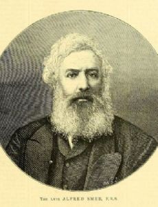 Alfred Smee