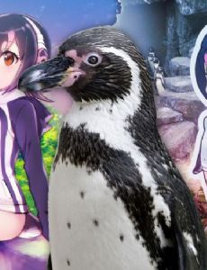 Grape-kun
