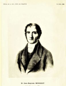 Jean-Baptiste Mougeot