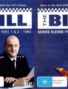 Season 11