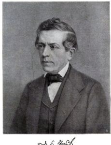 David Strauss