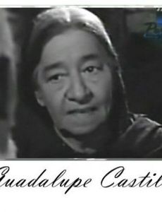Lupe del Castillo