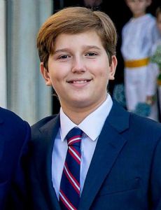 Prince Aristidis-Stavros of Greece and Denmark