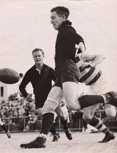 Terry Moriarty