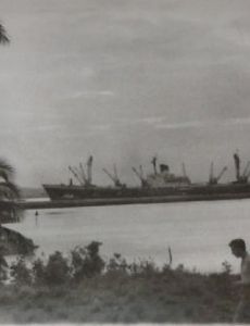 SS Metallurg Anosov