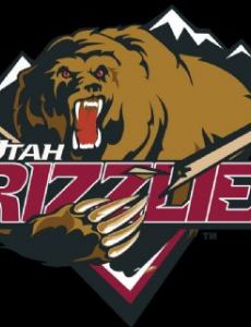 Utah Grizzlies (1995–2005)