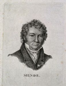 Ludwig Julius Caspar Mende