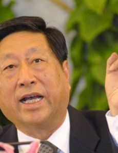 Zhang Ping (politician)